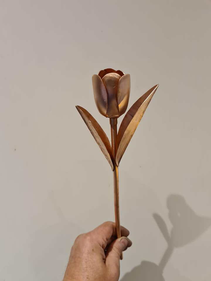 Tulip